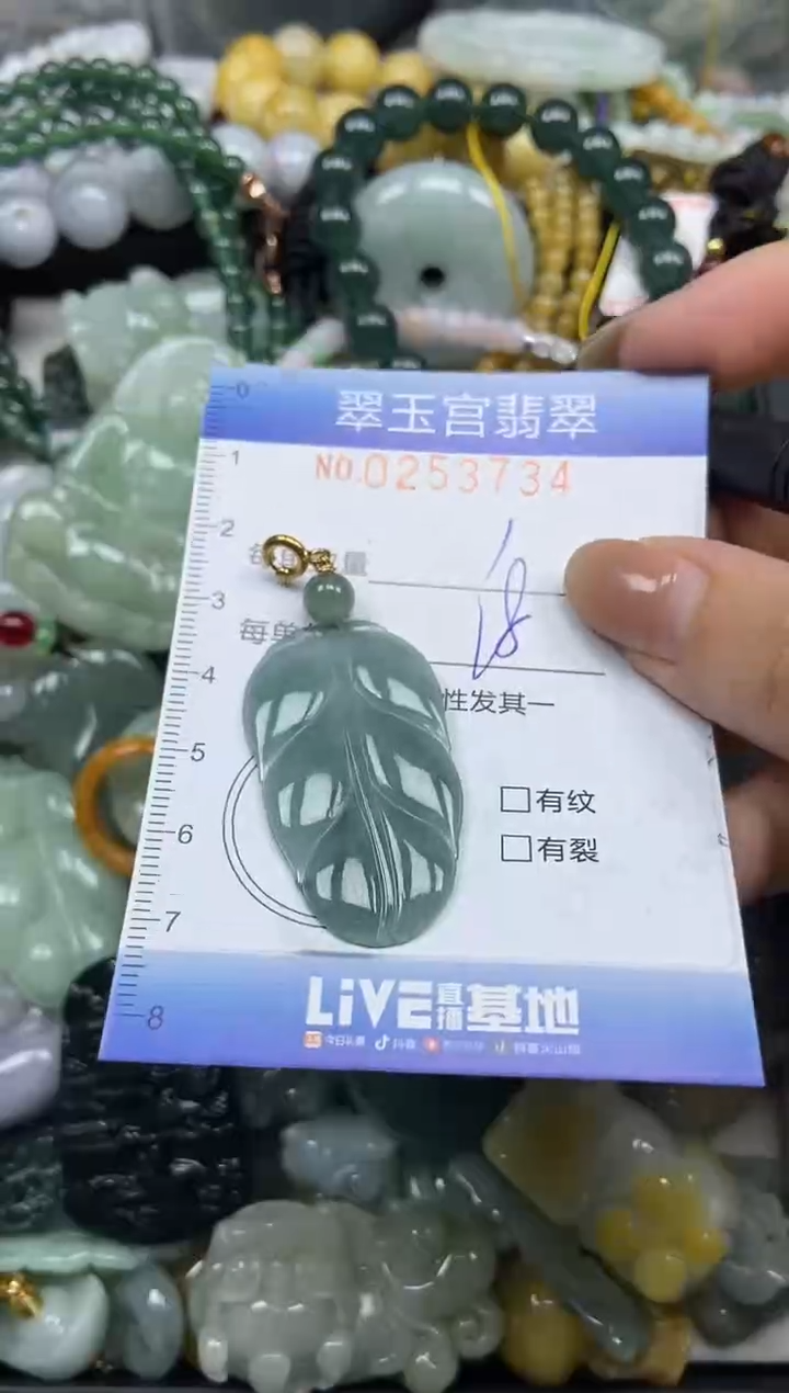 颈饰未镶嵌翡翠闪购C0253734