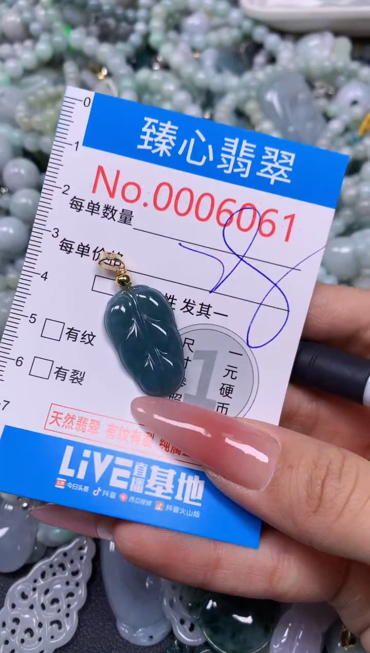 【闪购商品】翡翠颈饰未镶嵌含绳0006061