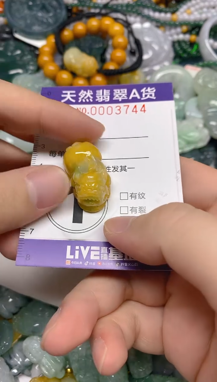 颈饰未镶嵌翡翠0003744