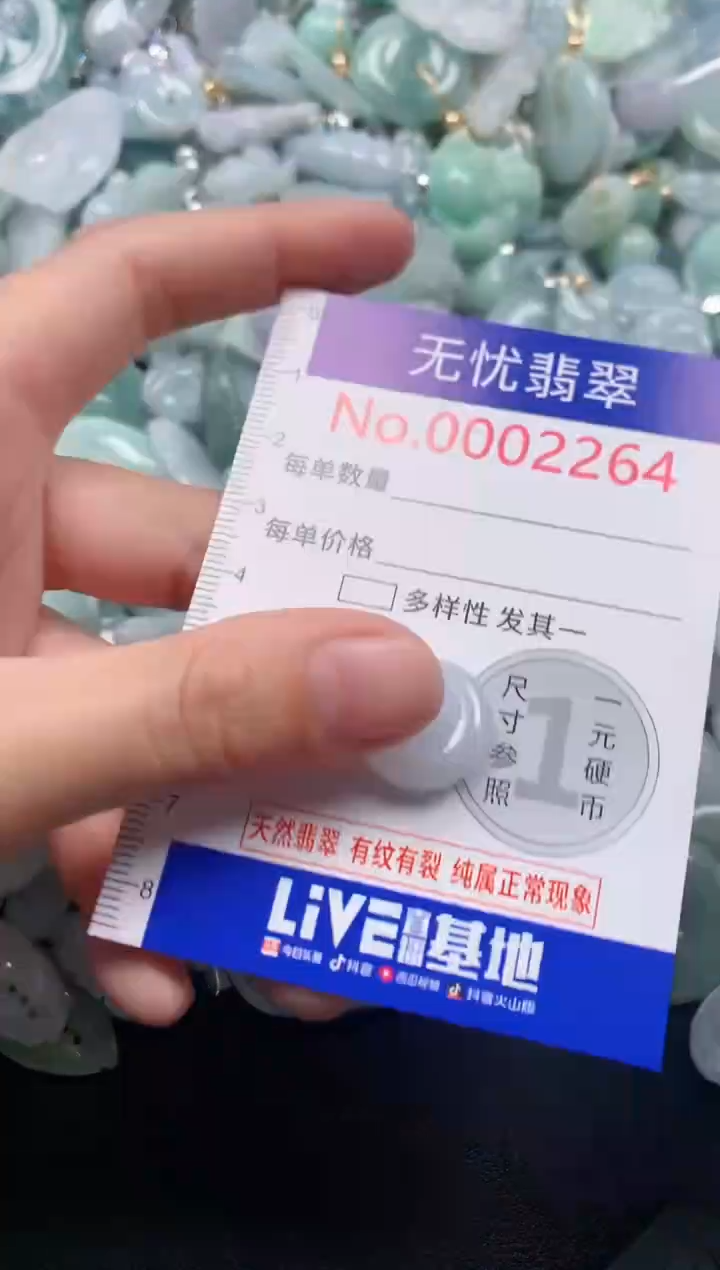 颈饰未镶嵌翡翠2264