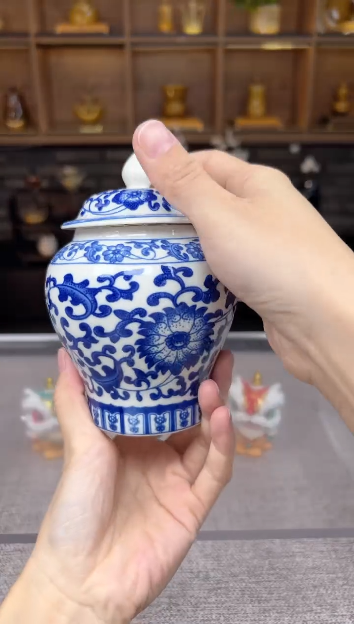【闪购商品】无尽藏 专属福利单 VVV 
