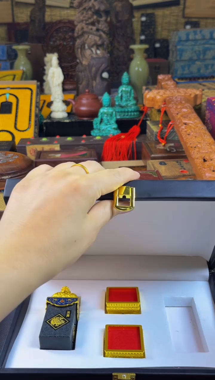 林氏直播精选推荐