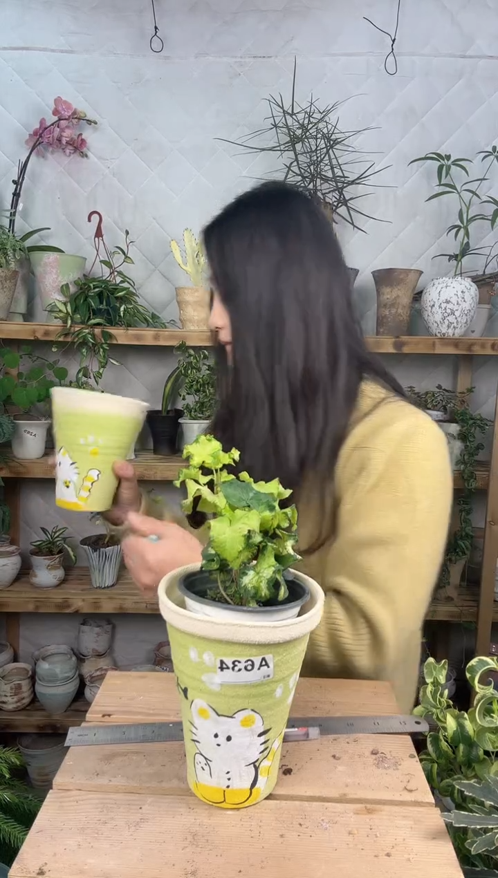 无花朵编号634景德镇手绘花盆加月光灯种盆