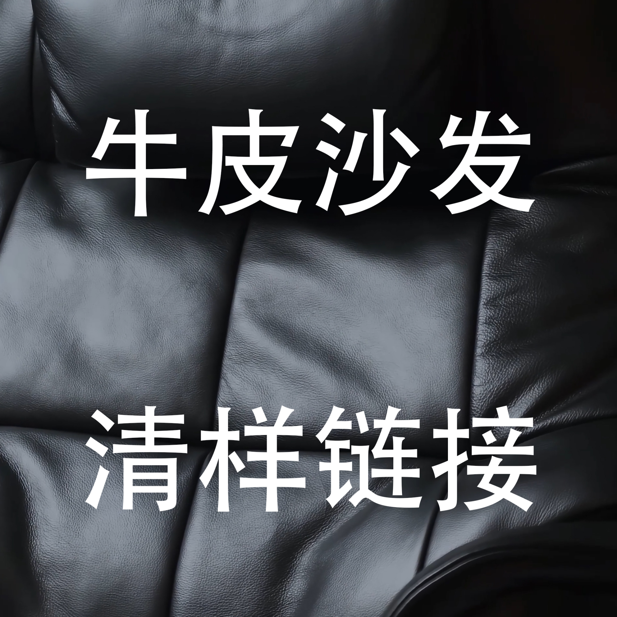 家德瑞牛皮躺椅【展厅样品福利清仓】家用高颜值家具