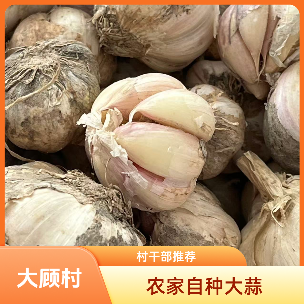 【大白助农】干蒜大蒜农家自种