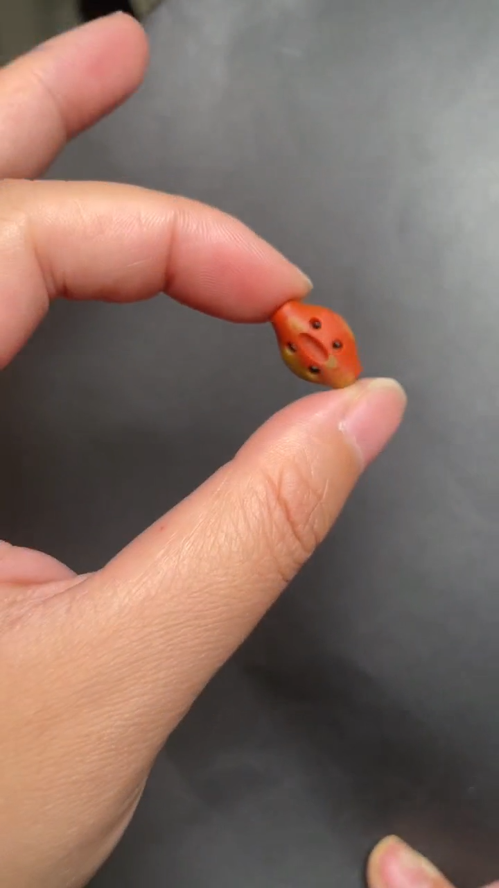 【闪购商品】南红玛瑙配饰未镶嵌49