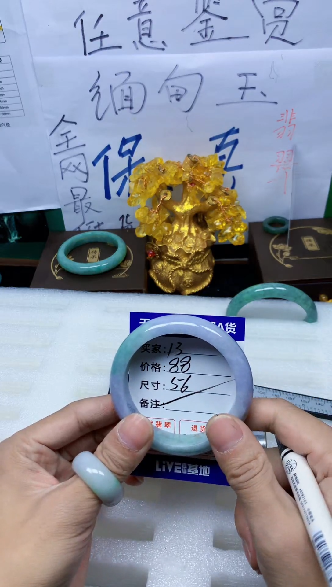 未镶嵌手镯翡翠13