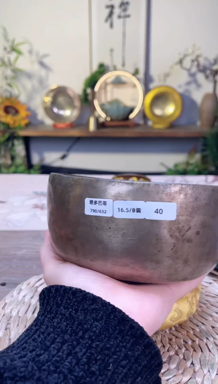 【闪购商品】塔多巴蒂16.5CM-A调（无配件）