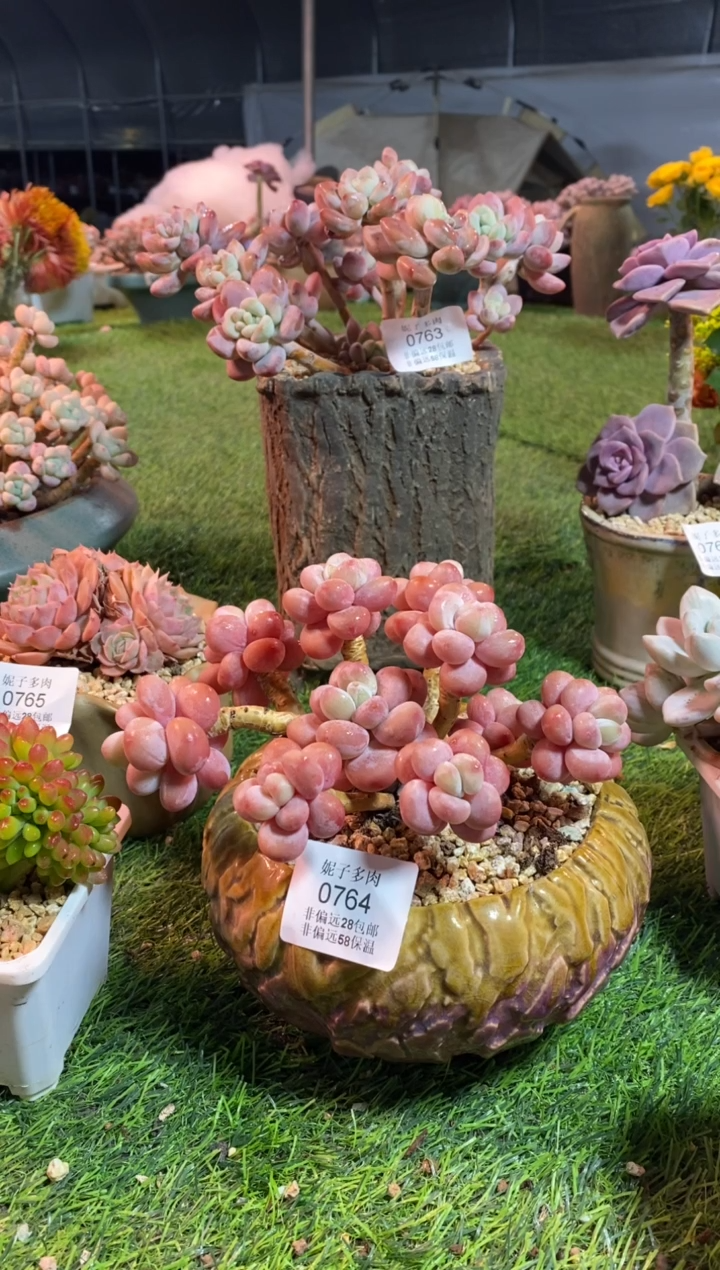 【闪购商品】0764a