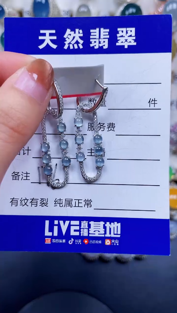 银S925镶嵌翡翠耳饰176