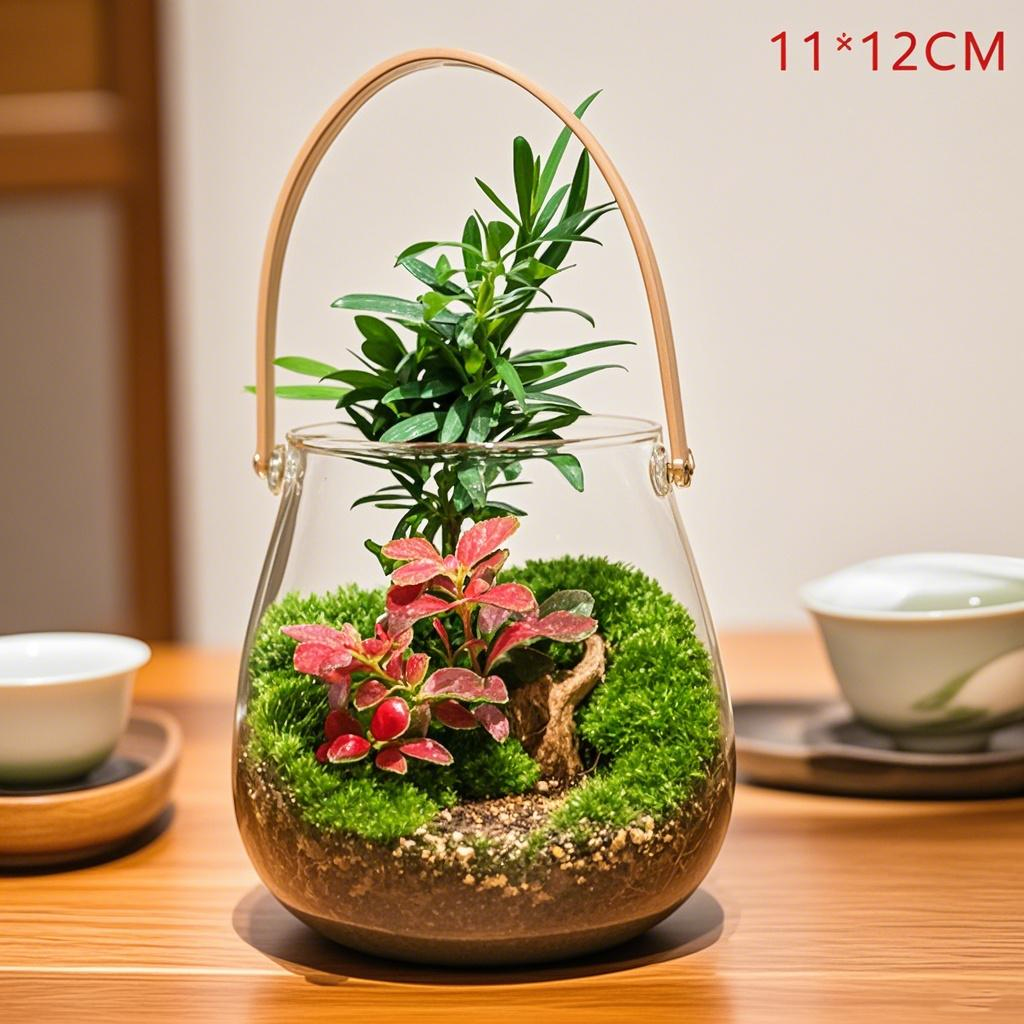 D7【秘境】苔藓微景观迷你11厘米手提款懒人绿植送礼精品植物盆栽