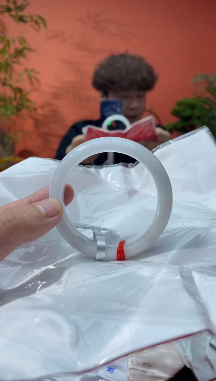 未镶嵌手镯翡翠9