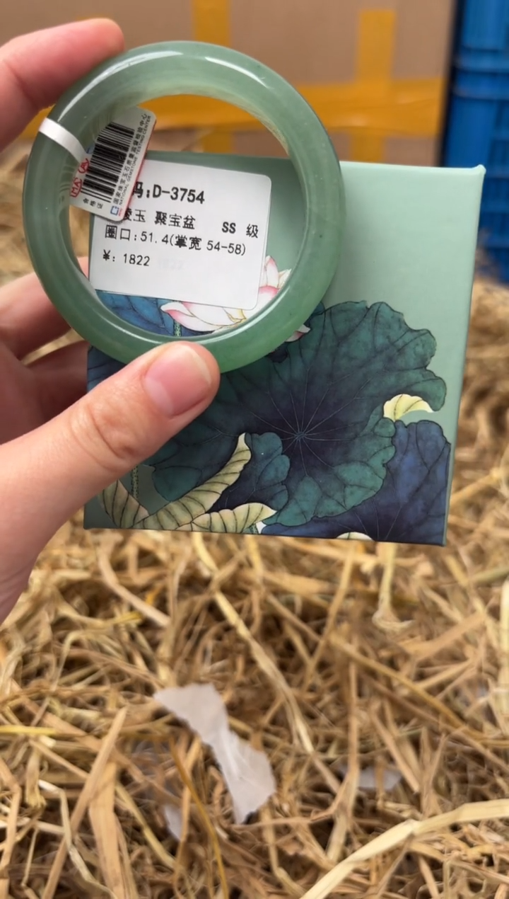 未镶嵌手镯石英质玉D-3754