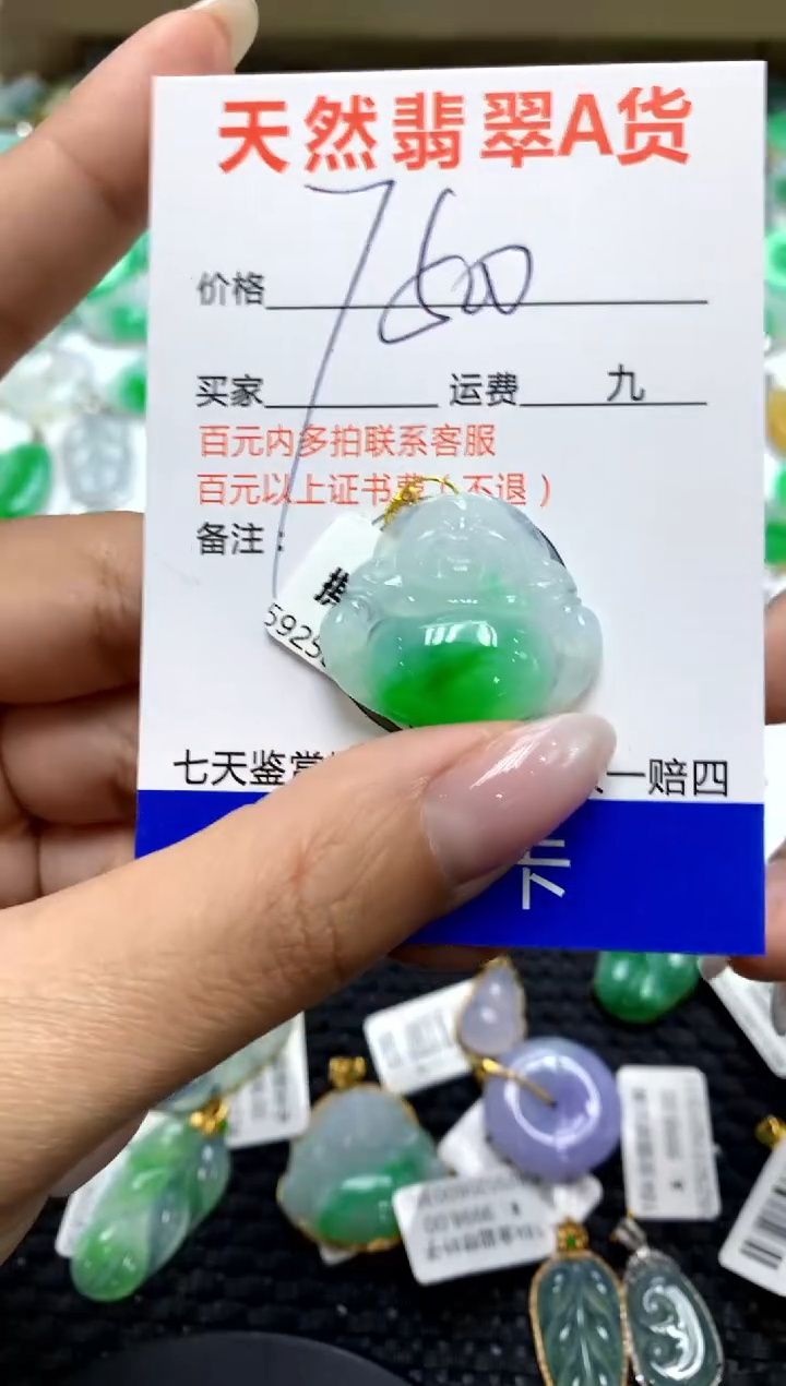 翡翠足银镶嵌颈饰11111111111111111