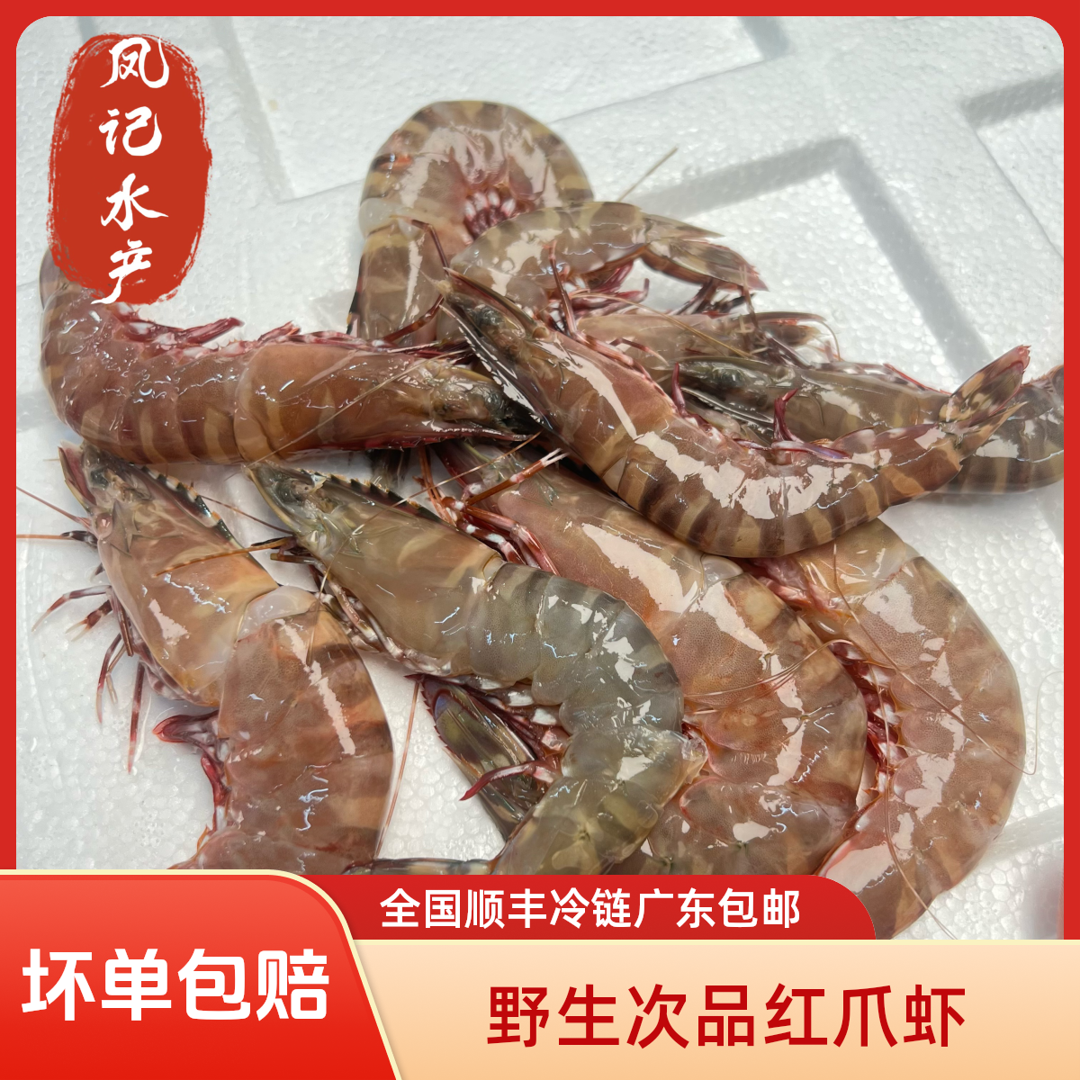 汕尾本港 次品红爪虾15条内 微断头 软皮