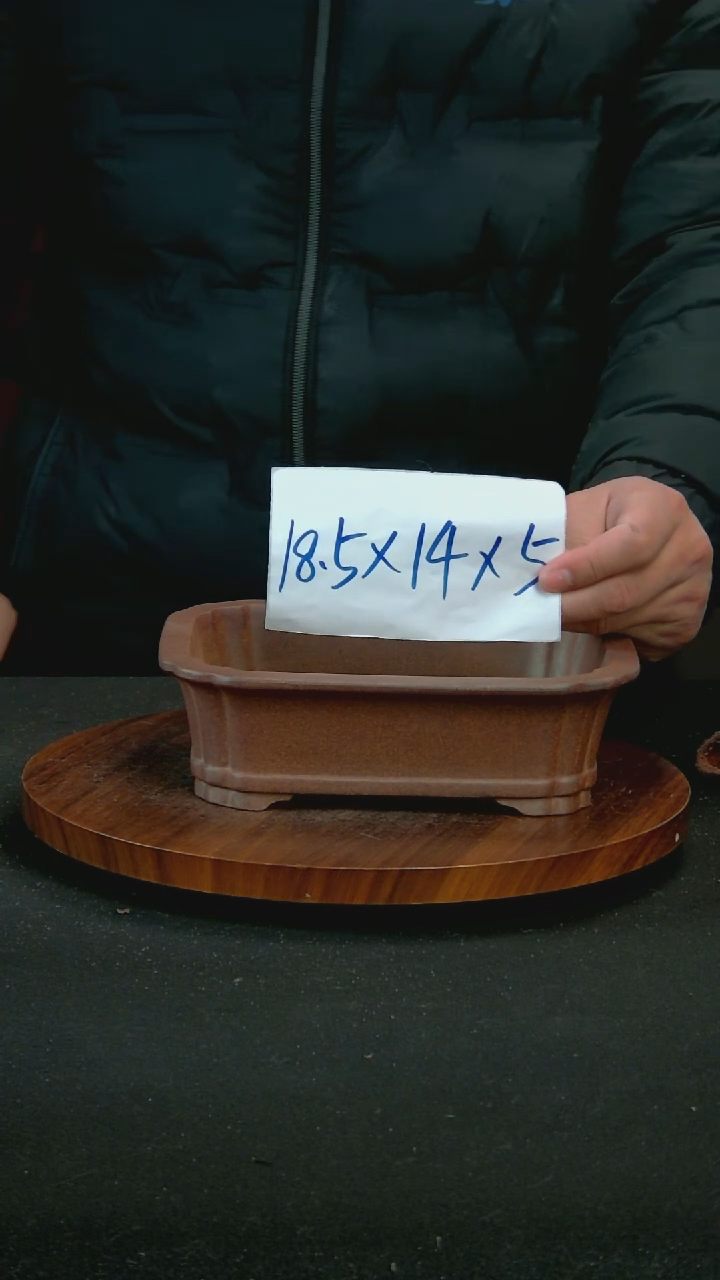 【闪购商品】紫砂R50