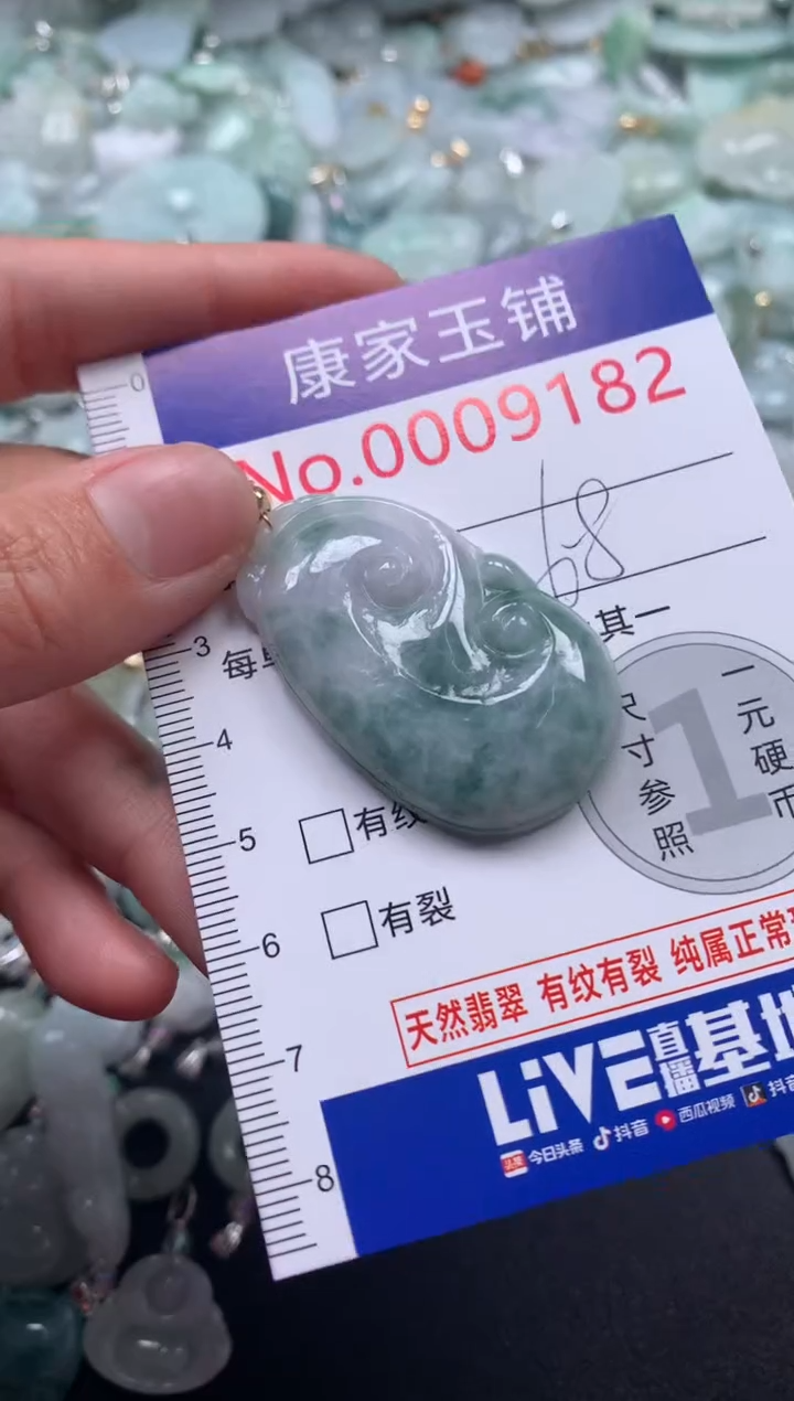 颈饰未镶嵌翡翠9182