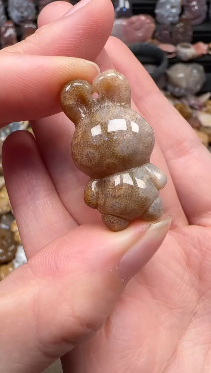 颈饰未镶嵌硅化珊瑚（珊瑚玉）050