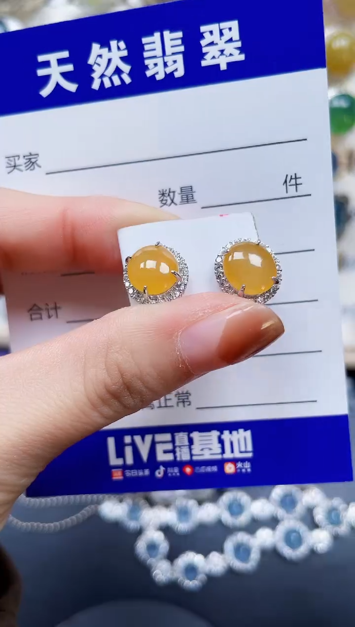 银S925镶嵌翡翠耳饰239