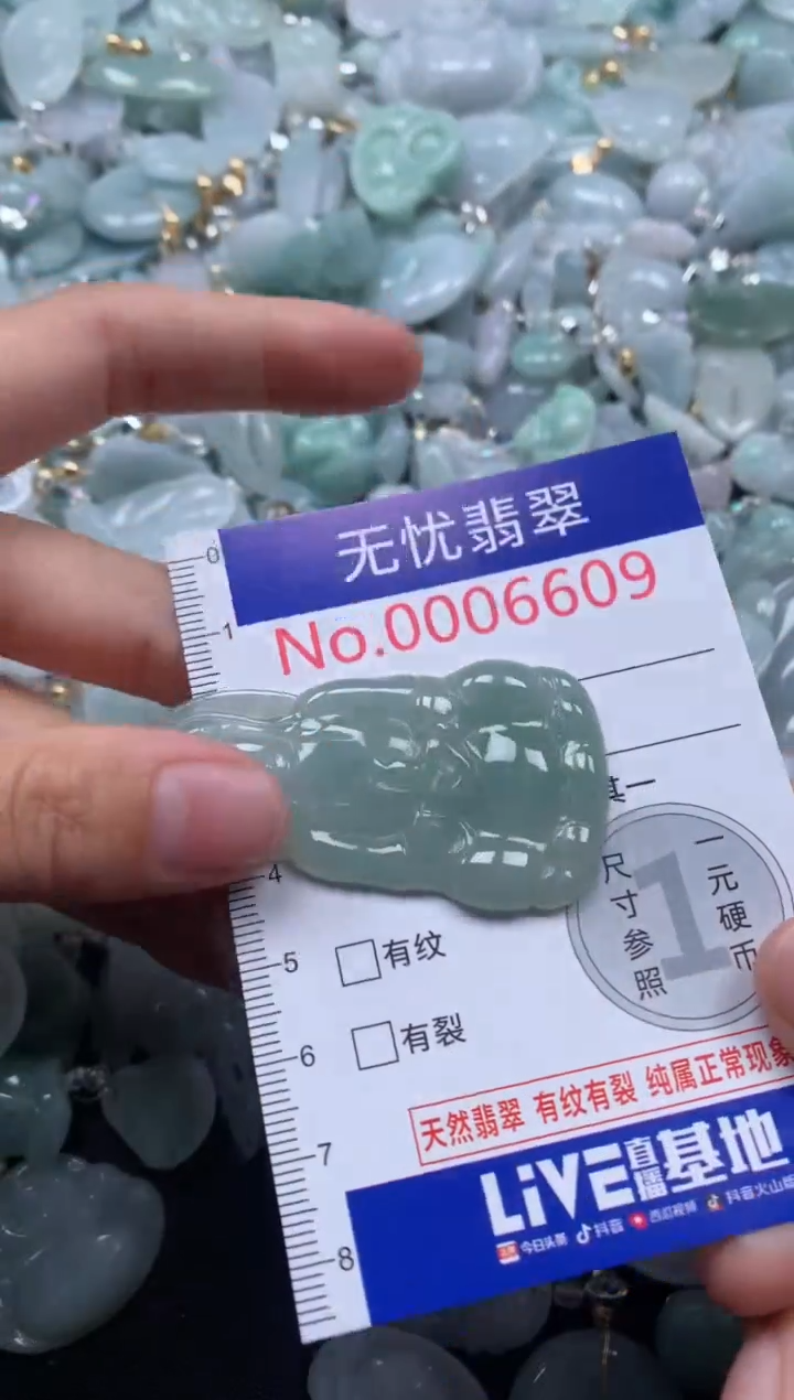 颈饰未镶嵌翡翠6609