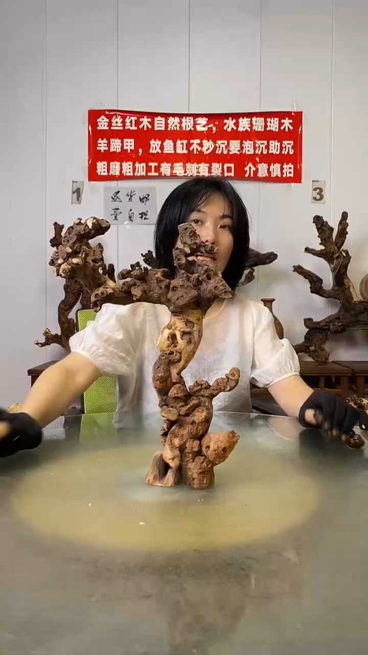 香榧木豪****）金丝红木   羊蹄甲