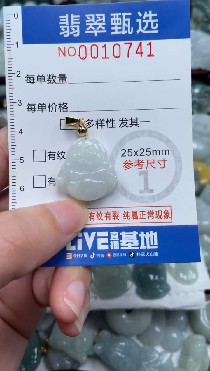 颈饰未镶嵌翡翠10741