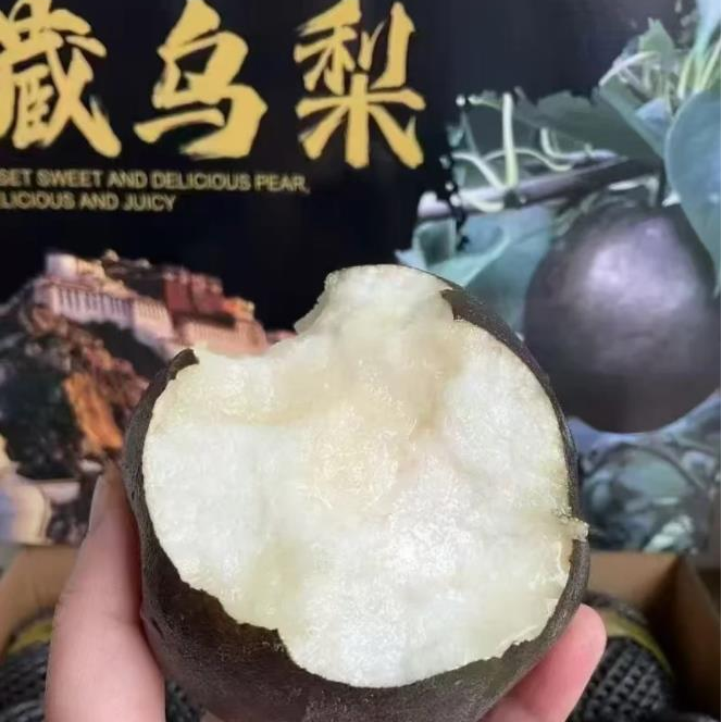 【藏乌梨】雪域黑珍珠 黑甜多汁藏乌梨  