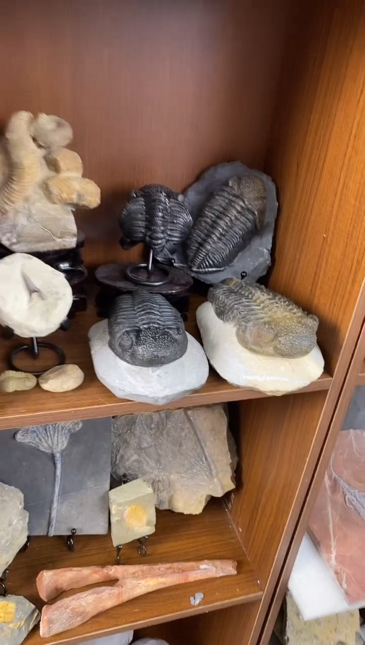 屋****许精美摆件创意礼物家居配饰新年礼物个人收藏