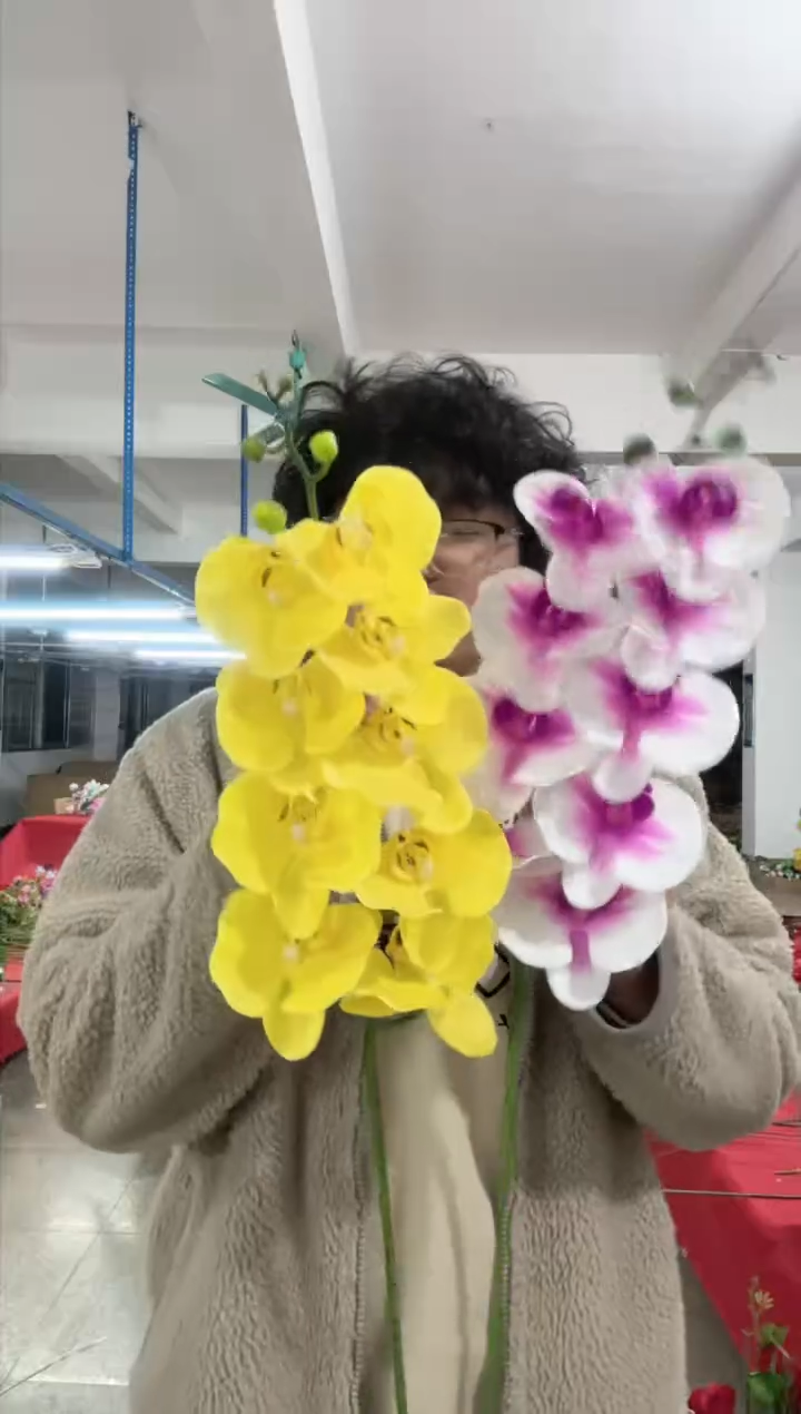 【闪购商品】仿真绿植蝴蝶兰2束