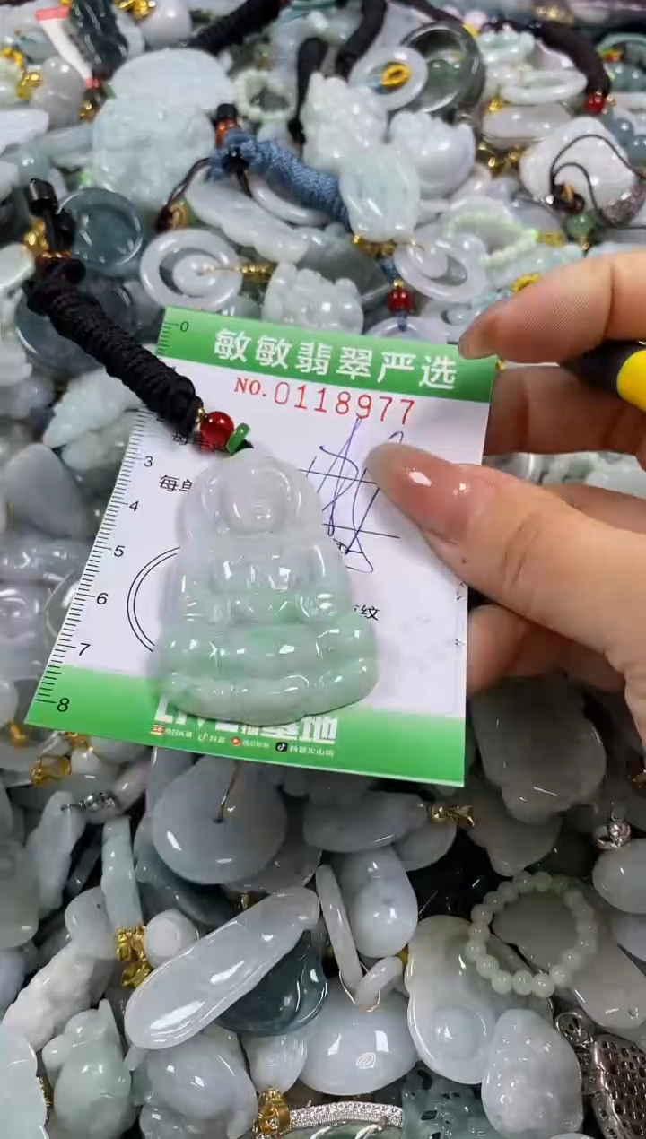 【闪购商品】翡翠颈饰未镶嵌闪购0118977