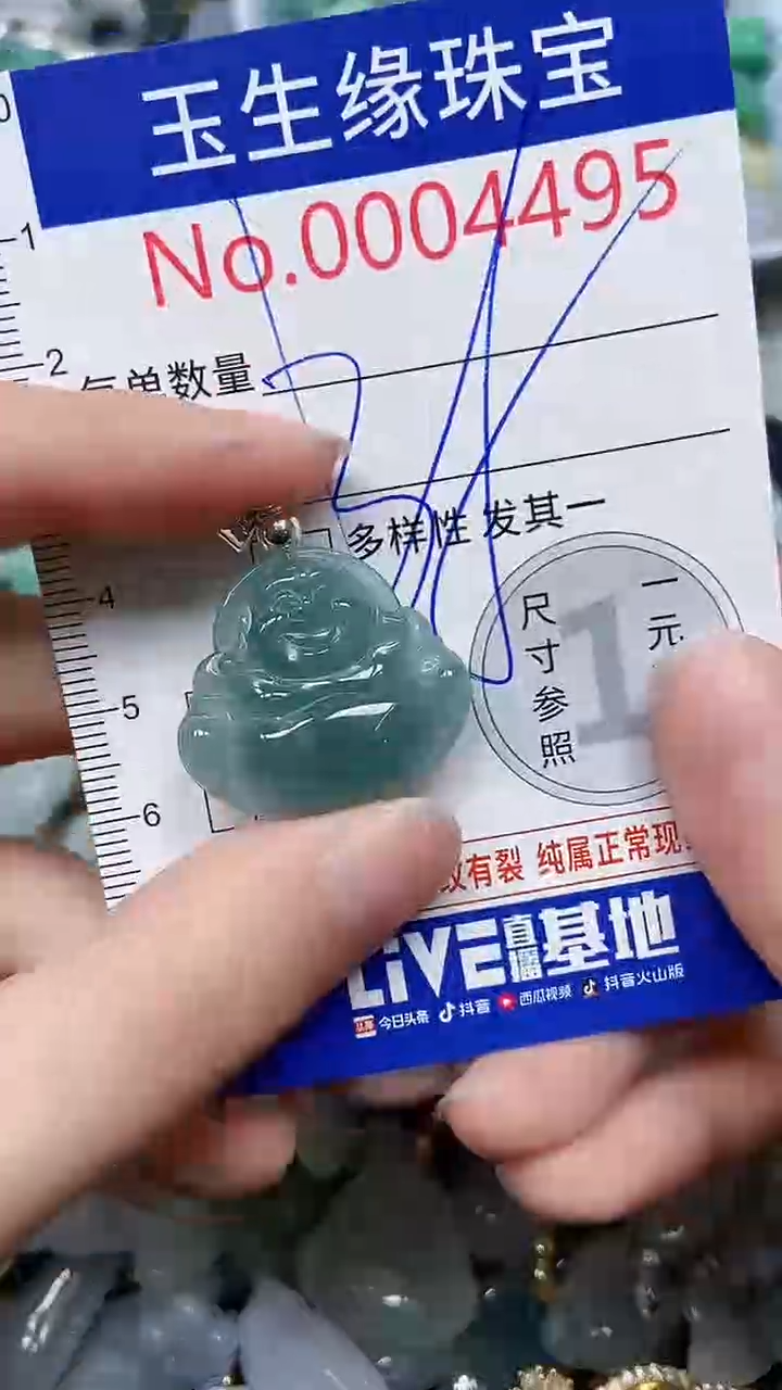 【闪购商品】翡翠颈饰未镶嵌闪购00004495