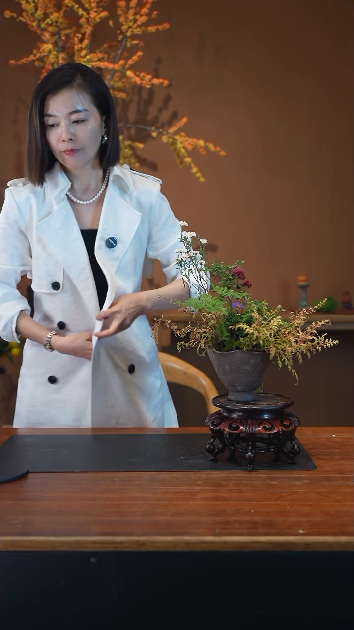 全部花朵山野草盆景盆景盆景