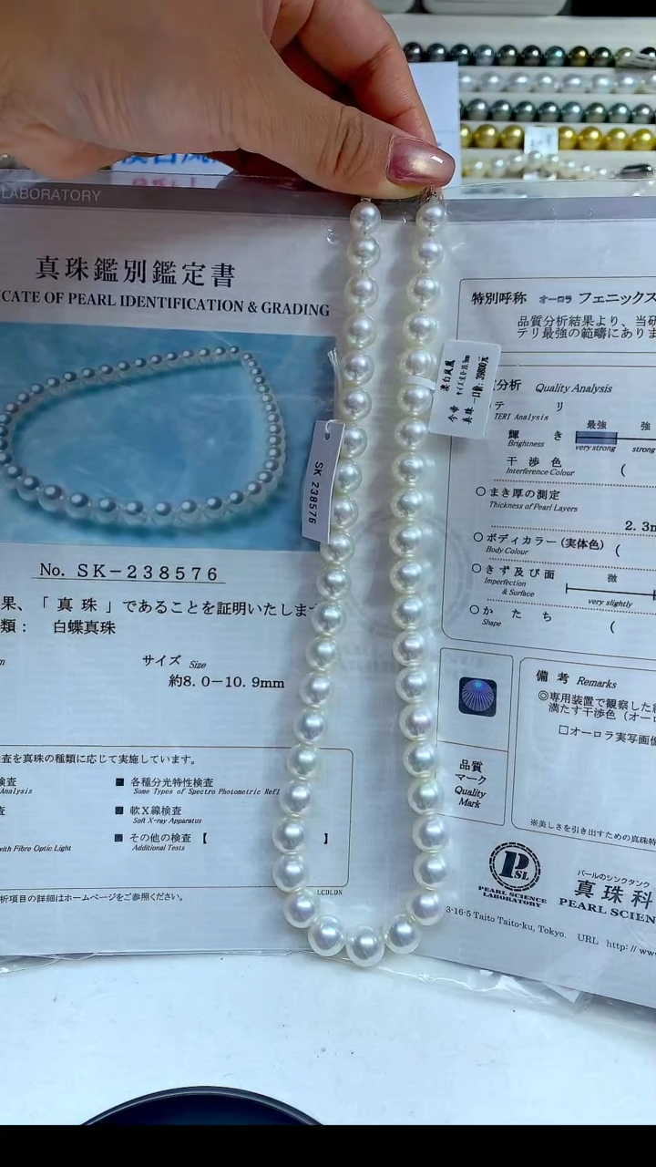 【闪购商品】海水珍珠颈饰未镶嵌澳白凤凰8-10.9MM