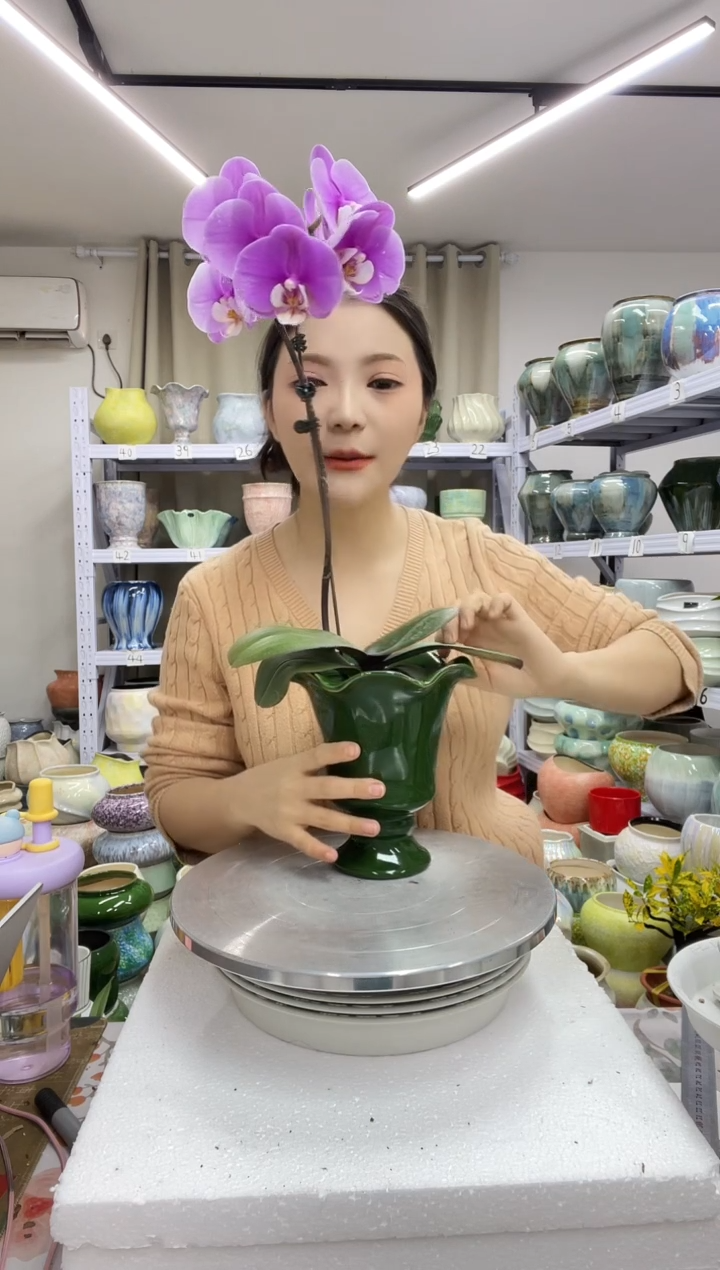 【12.31】花盆链接高： 17 口：12