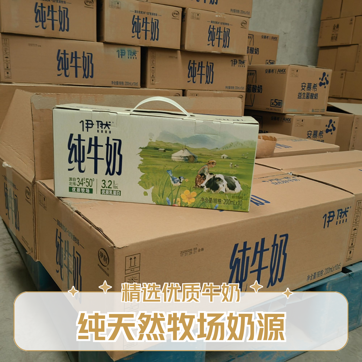 （5提装）2月1*10*200ml伊利伊然纯牛奶（标准砖）