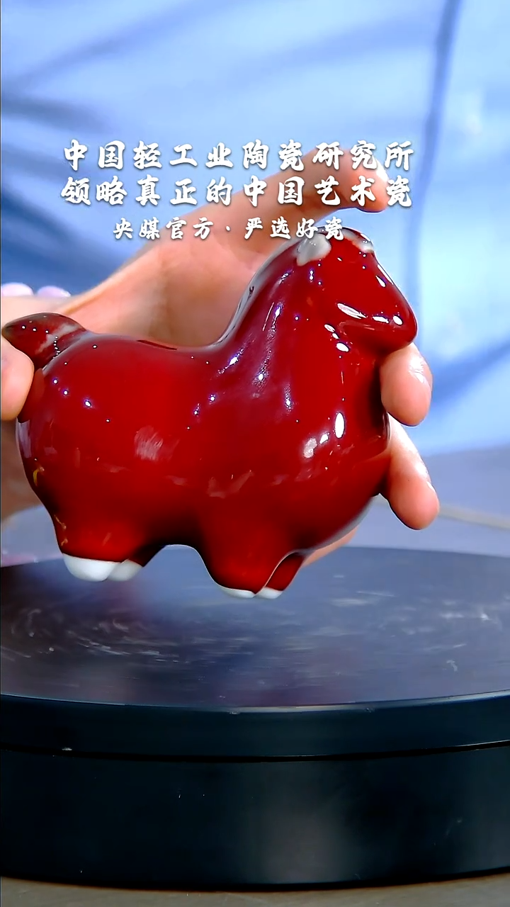 【闪购商品】瓷片陶瓷研究所   流水106