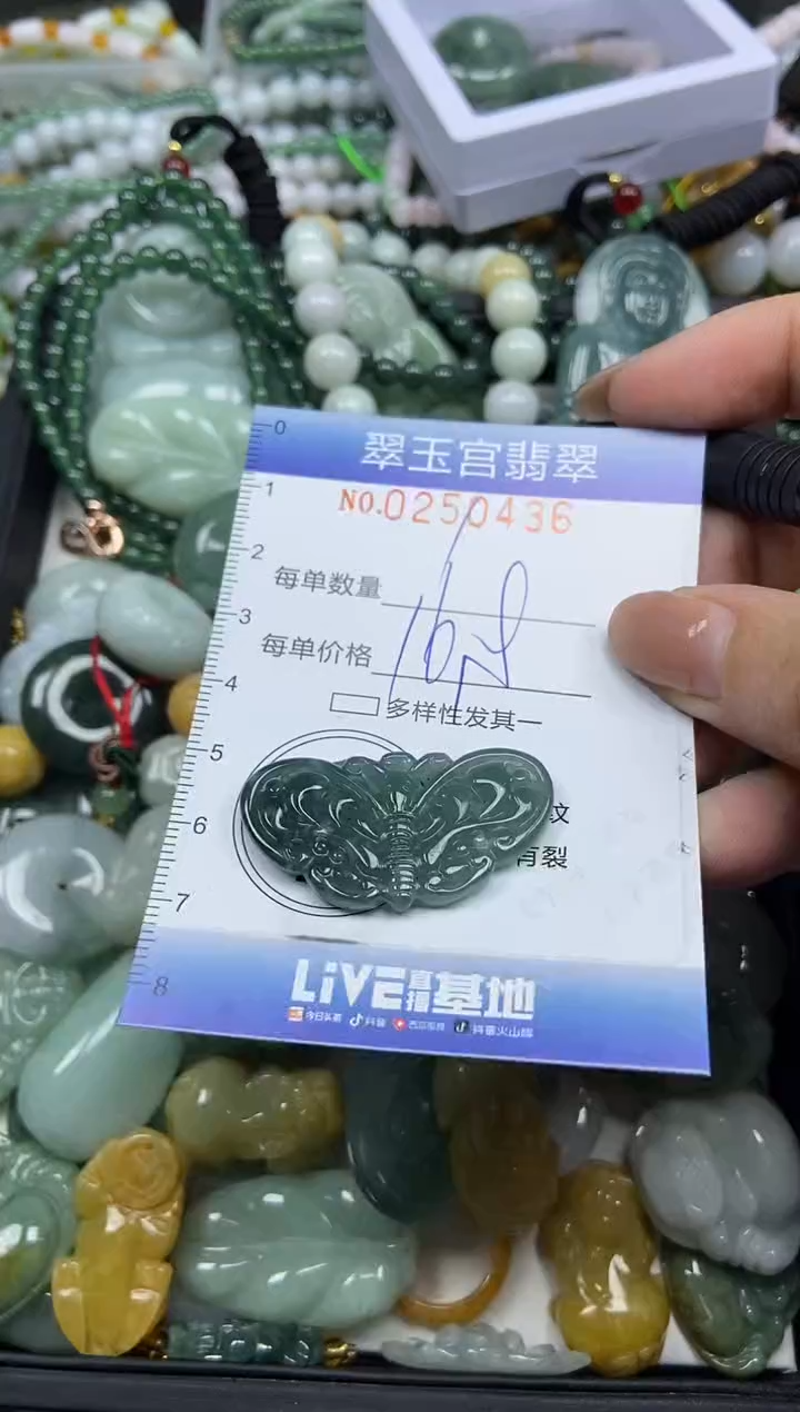 颈饰未镶嵌翡翠闪购C0250436