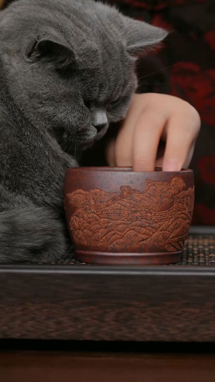 【闪购商品】紫砂茶杯福利紫砂江山永固