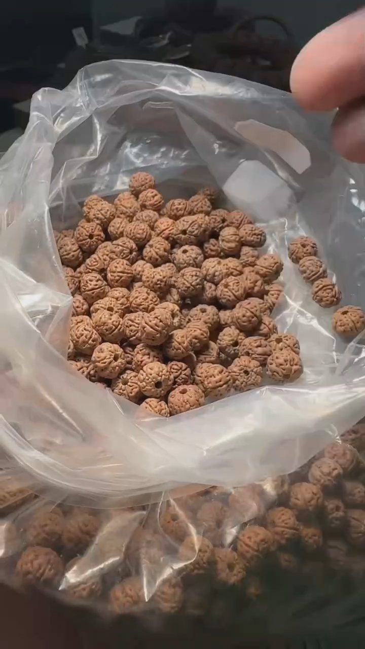 金刚菩提手串非全品老树王散籽-10mm一份一百颗