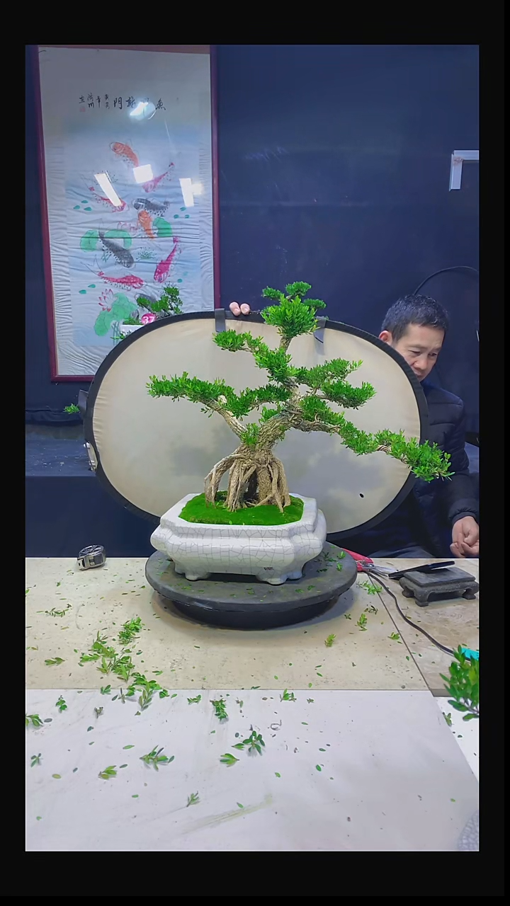 无花朵C**n11111111111111111