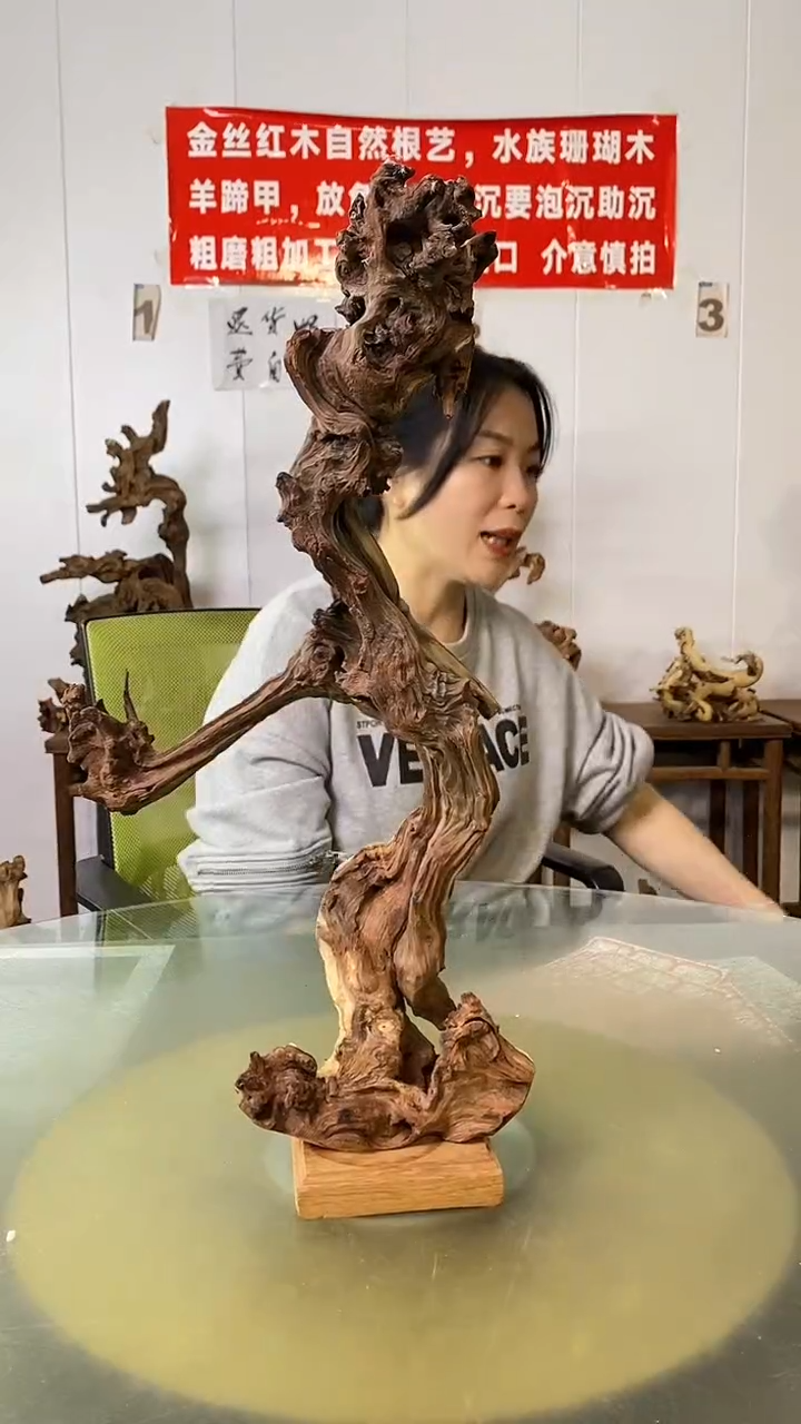 木江**鸟金丝红木 羊蹄甲