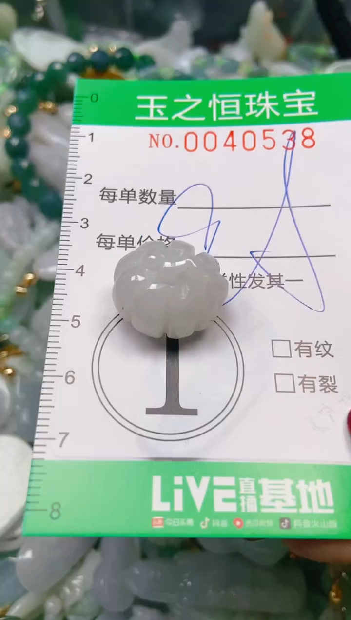 【闪购商品】翡翠颈饰未镶嵌闪购0040538