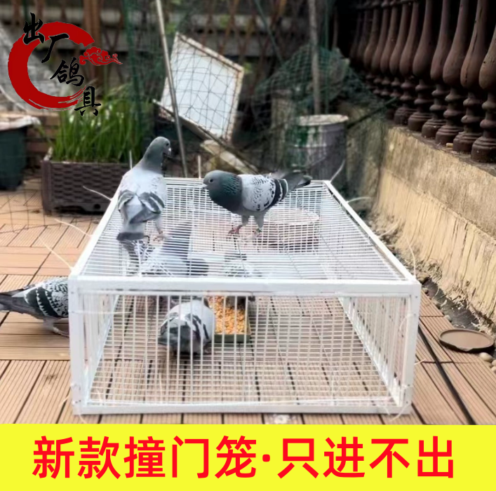 全自动室外天落笼撞门笼收集抓收鸽子加密款户外收扑只进不出