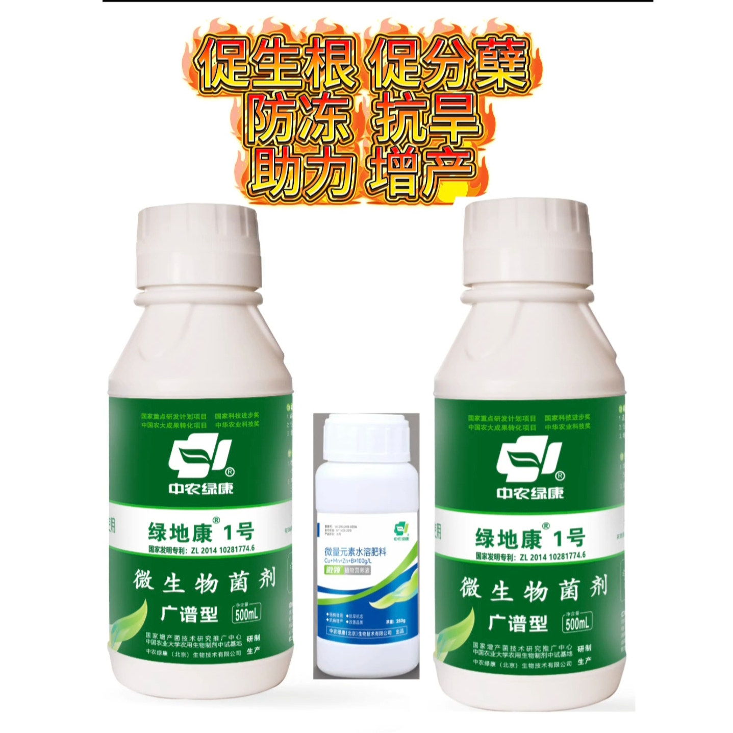 促根壮根让作物“站稳脚跟” ，抗寒防冻抗旱，少生病