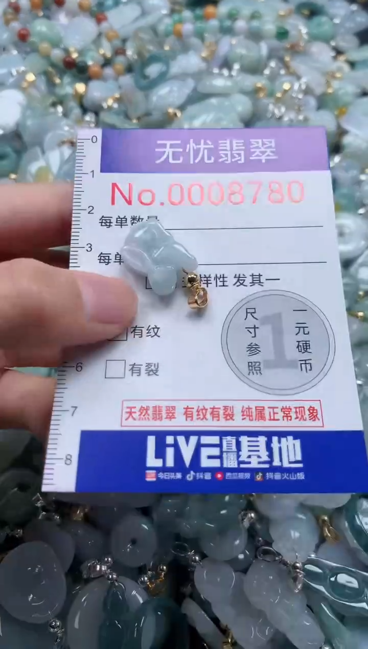 翡翠未镶嵌吊坠(不含链)8780