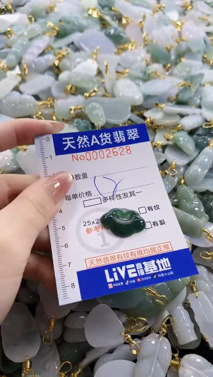 颈饰未镶嵌翡翠天然A货翡翠