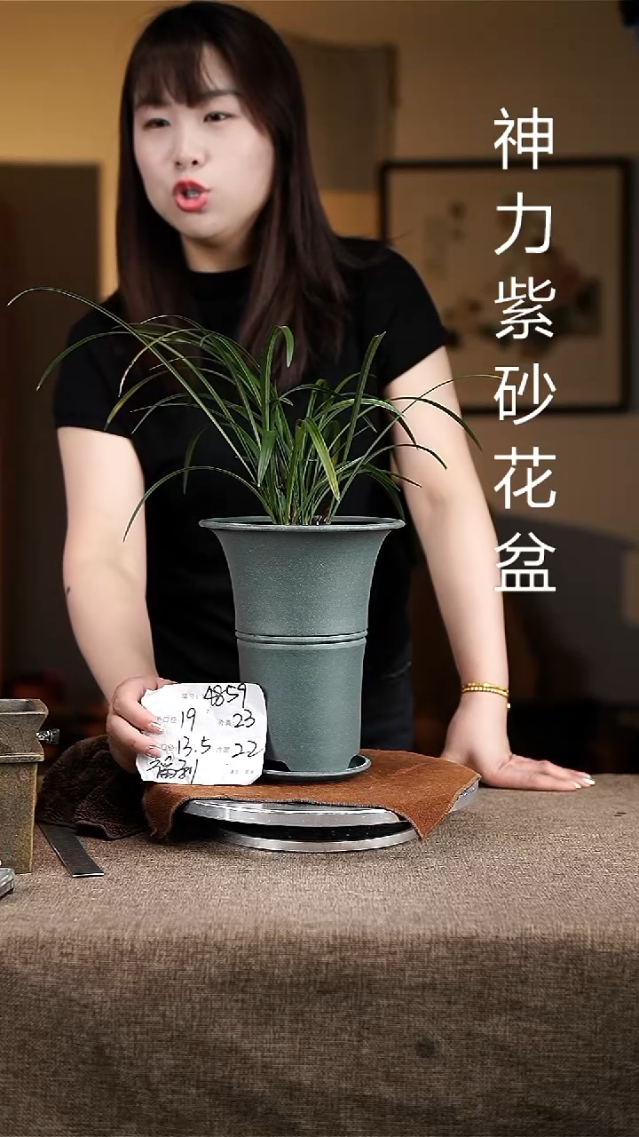 紫砂花盆紫砂花盆4859+z