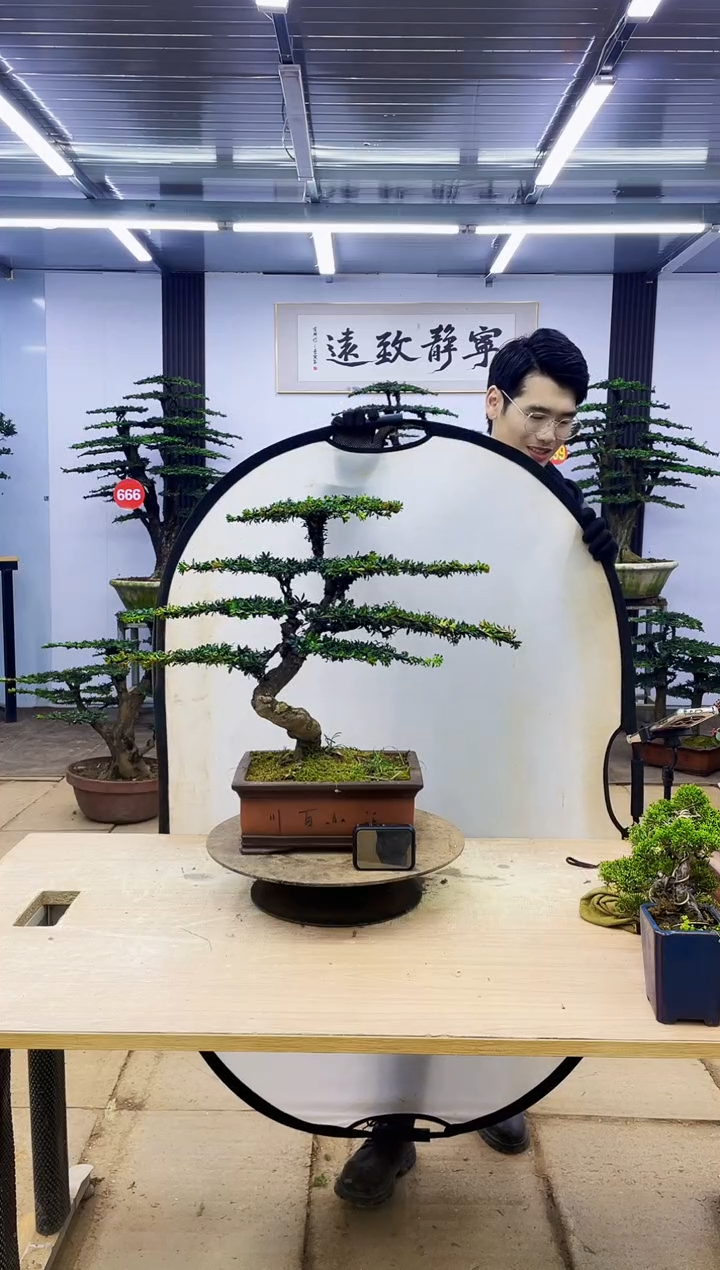 无花朵Z****r00000000000