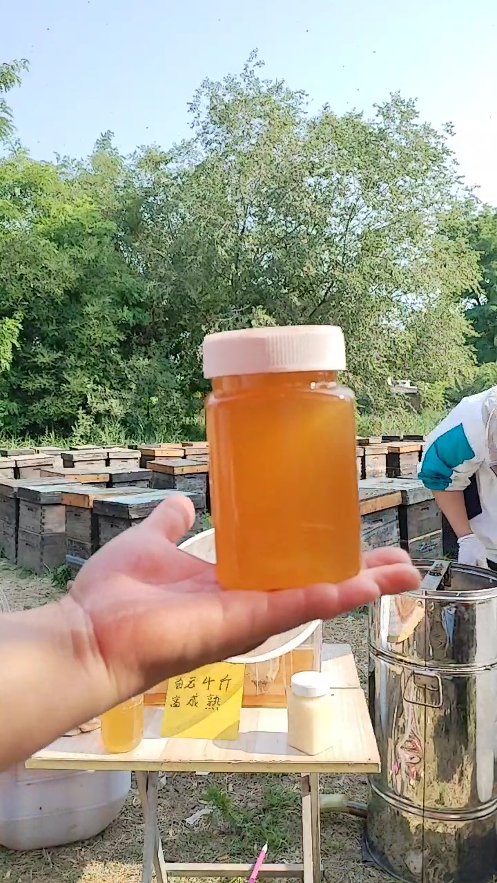 250克试吃成熟蜂蜜自产自销枣花蜜槐花蜜五味子蜜