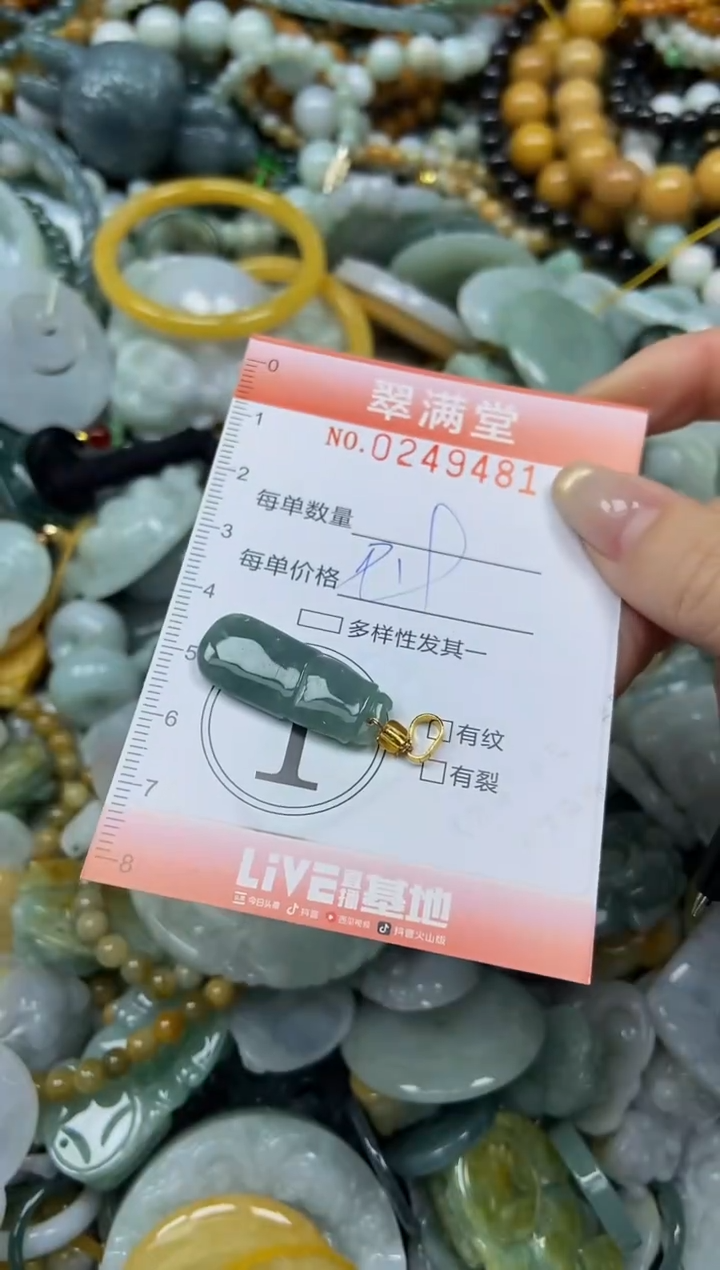 未镶嵌挂件翡翠闪购0249481